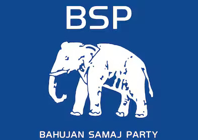 BSP